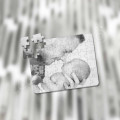 Fényképes puzzle 35 db-os