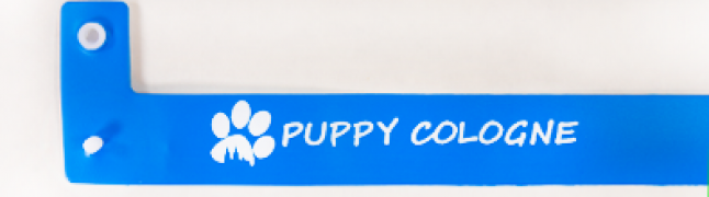 Sì, ho bisogno di una personalizzazione a un colore (1+0)! - +10,000 € (+12,200 € Incl. Tasse)